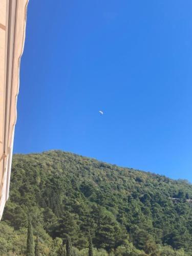 For Rent In Budva